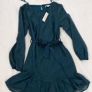 Francesca’s Long Sleeve Dress in Pine color